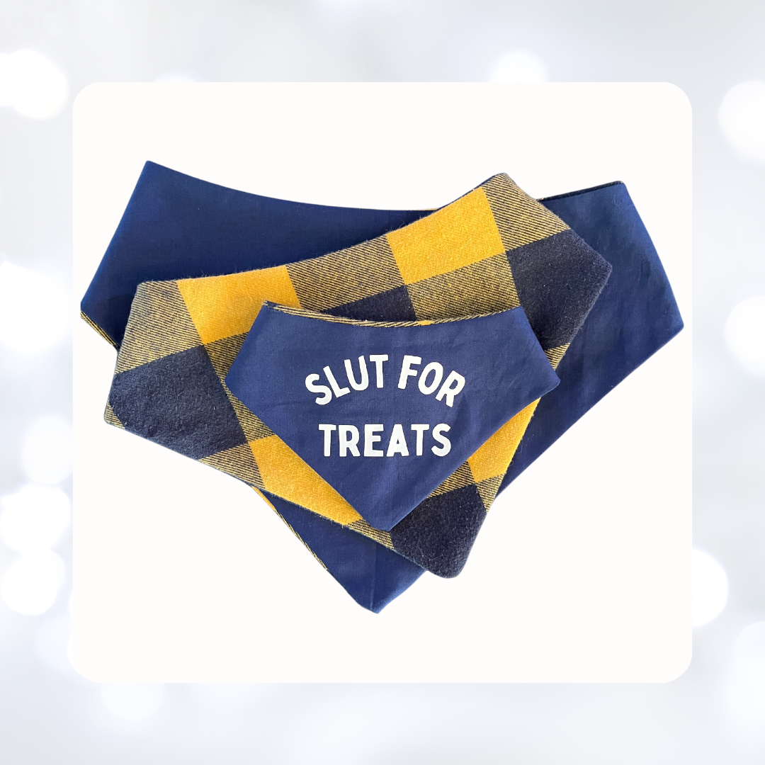 Slut for Treats Dog Bandana, Dog Bandana, Pet Bandana, Matching Pet Badana, Pet Accessories